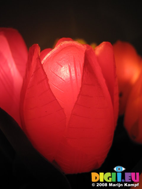 SX00020 Plastic tulip light